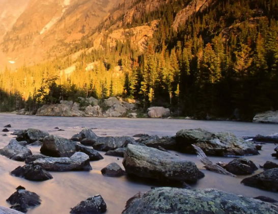 子宫异位症试管成功率-助孕生男孩